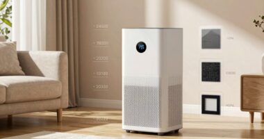 air purifier selection guide