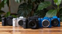 beginner friendly mirrorless cameras