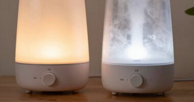 humidifier types comparison guide