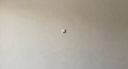 incorrect wall art sizing