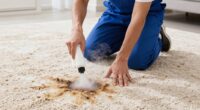 pet stain removal tips