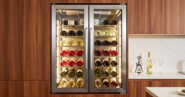 top dual zone wine fridges