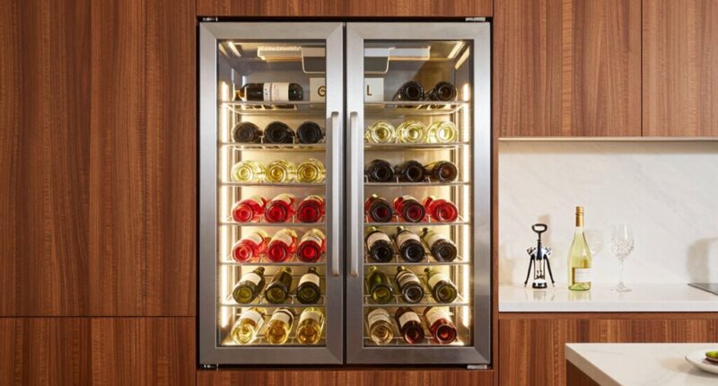 top dual zone wine fridges