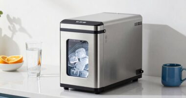 top ice makers 2026