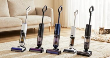 top pet hair vacuum picks