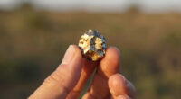 Canada, Japan consider critical minerals joint stockpiling in hunt for China alternatives
