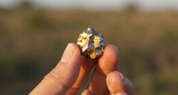 Canada, Japan consider critical minerals joint stockpiling in hunt for China alternatives