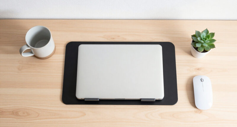 14 Best Student Ergonomic Laptop Stands in 2026