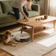 15 Best Robot Vacuum Cleaners for Easier Floor Care in 2027